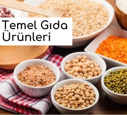 Temel Gıda