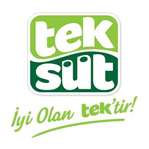 Teksüt