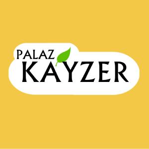 Kayzer