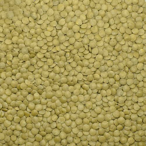 Başhan Yeşil Mercimek 6 mm 25 kg